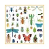 160 stickers métallisés Microcosmos Djeco