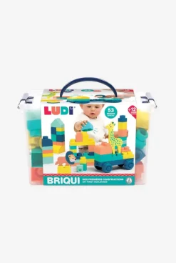 Baril BRIQUI 53 briques avec 1 véhicule et 2 animaux en mousse Ludi
