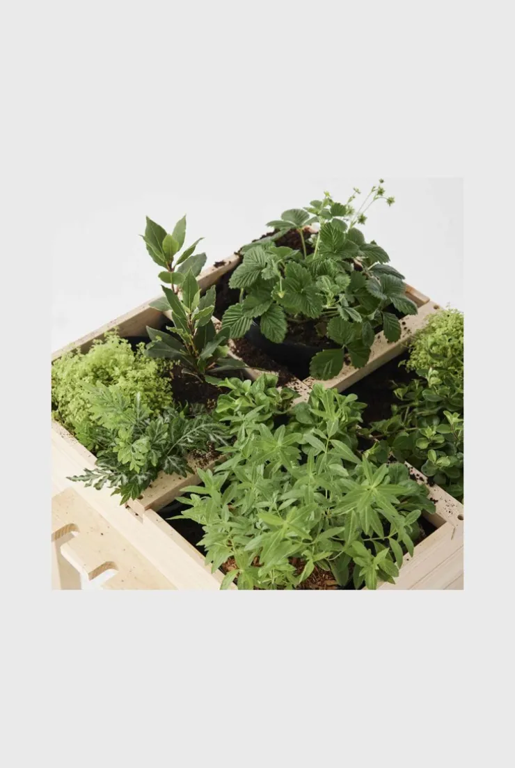 Carré potager en bois Oxybul
