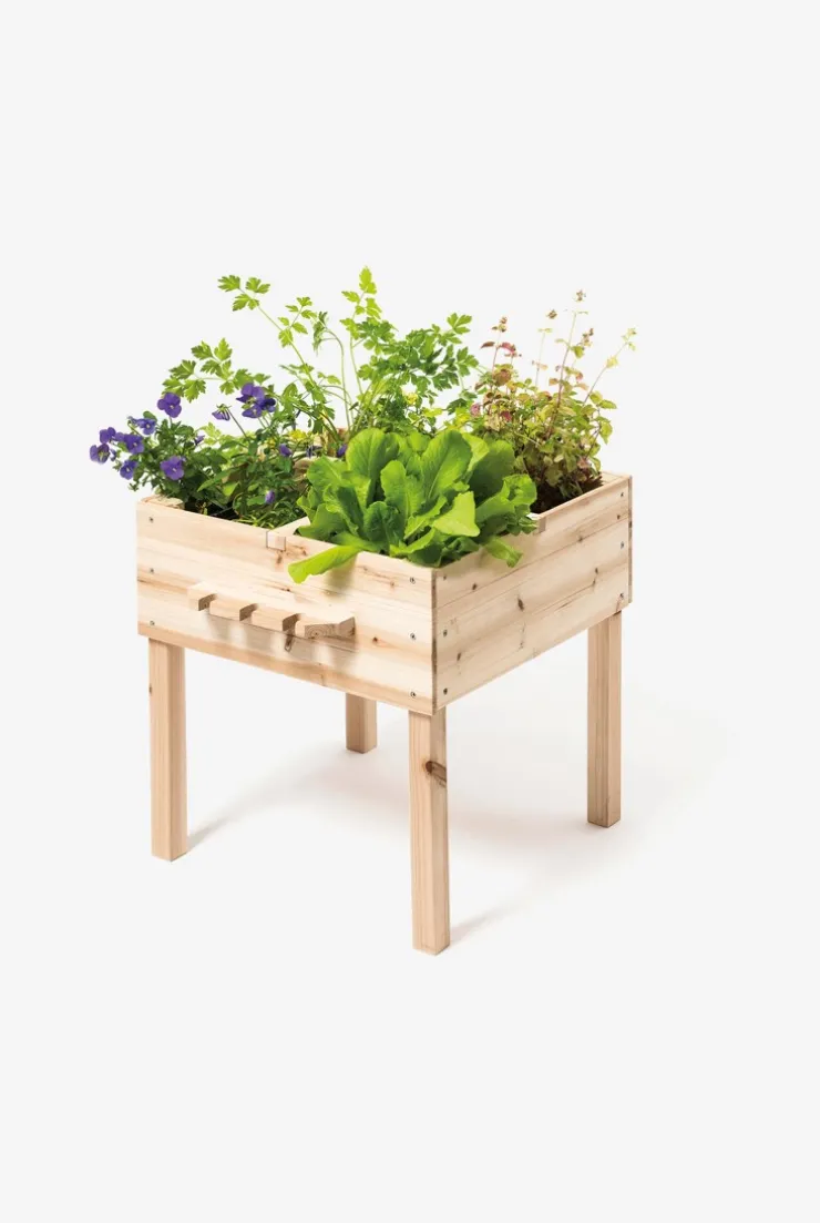 Carré potager en bois Oxybul