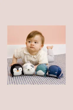 Coffret de 4 balles océan Dooballs Babytolove