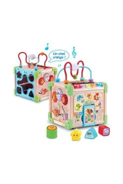 Cube nature interactif bois multi activités Vtech