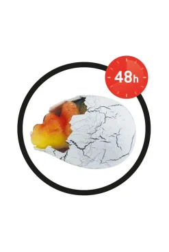 Dino œuf magique Buki