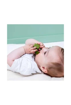 Hochet de dentition réfrigérant Dino vert