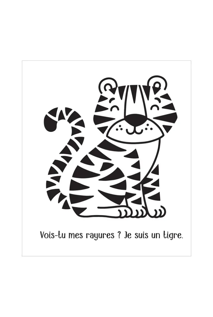 Livre Ma première peinture magique