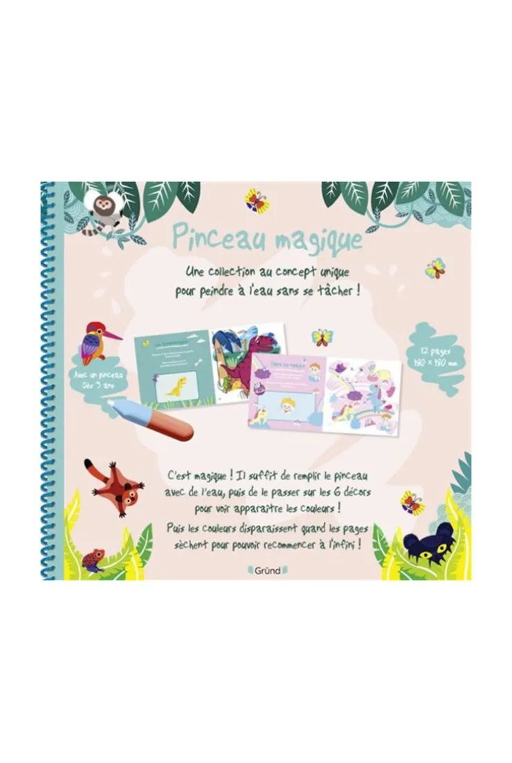 Livre Pinceau magique, l'école