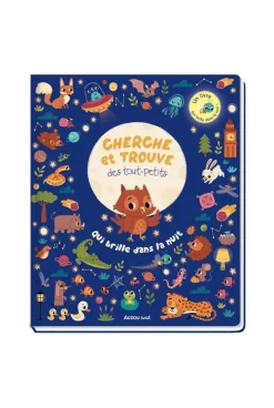 Livre Qui brille dans la nuit - Auzou