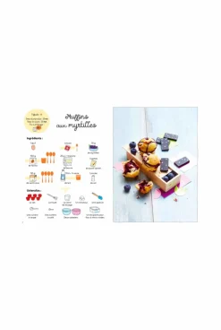 Livre Trop facile les mini-gâteaux