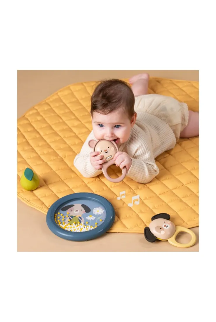 Premier set musical pour les petits Taf Toys