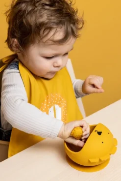 Premier set repas bébé assiette et cuillère, Mr lion