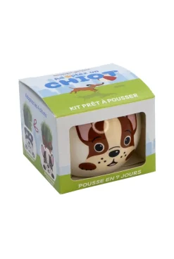 Tête en herbe à pousser Drôle de pots chiens