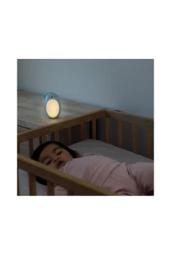 Veilleuse otarie évolutive 2 en 1 Infantino